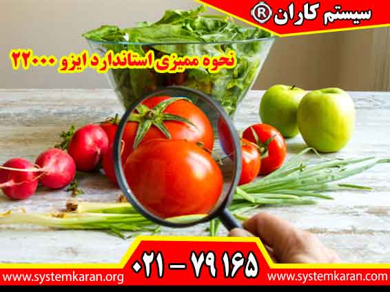 نحوه ممیزی استاندارد ایزو 22000
