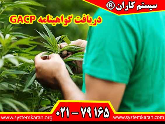 دریافت گواهینامه GACP باعث ارتقای سطح کیفی و ایمنی محصولات کشاورزی می گردد.